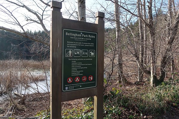 Lake Padden Park Bellingham - 2