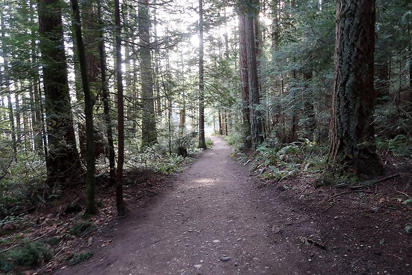 Lake Padden Park Bellingham - 41