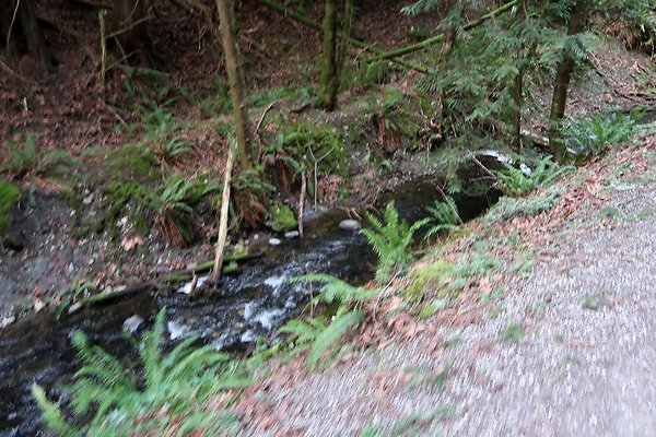 Lake Padden Park Bellingham - 81