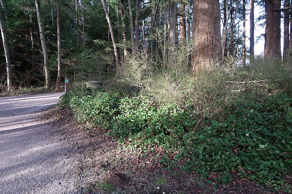 Lake Padden Park Bellingham - 12