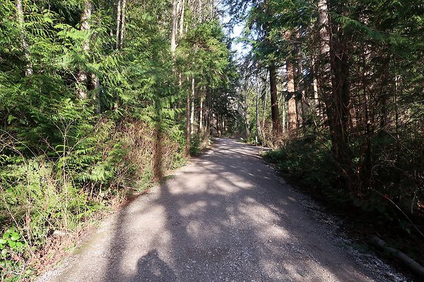 Lake Padden Park Bellingham - 118