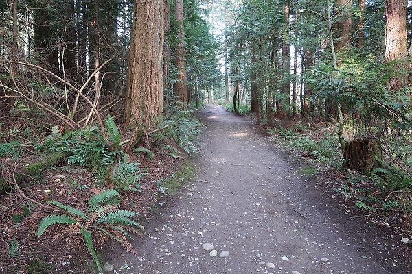 Lake Padden Park Bellingham - 45