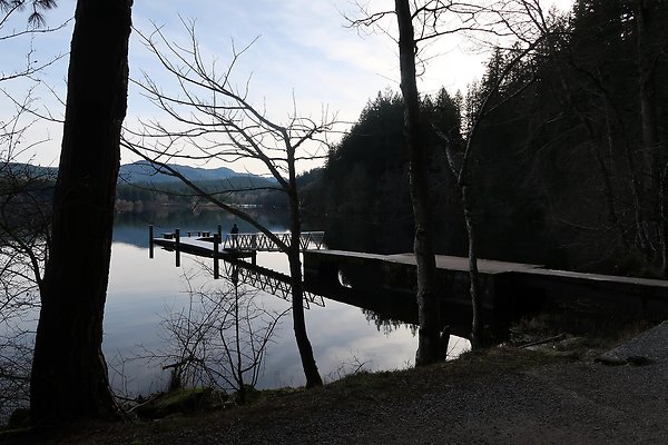 Lake Padden Park Bellingham - 55