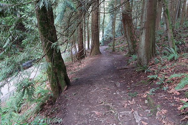 Lake Padden Park Bellingham - 91