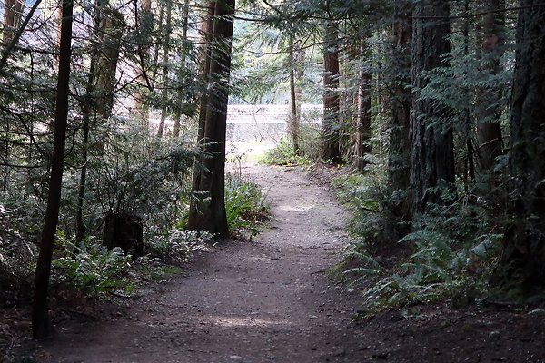 Lake Padden Park Bellingham - 35