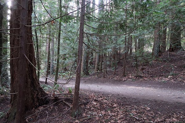 Lake Padden Park Bellingham - 38