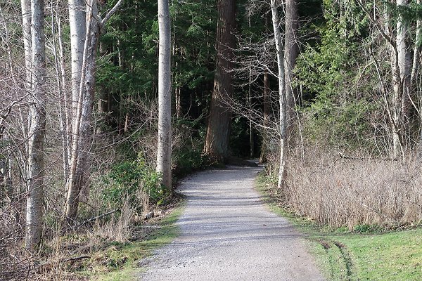 Lake Padden Park Bellingham - 5