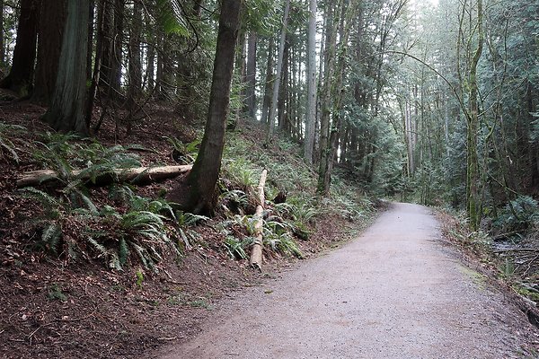 Lake Padden Park Bellingham - 103