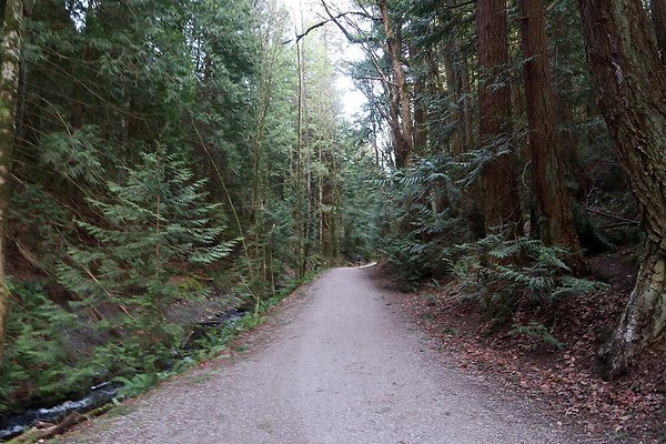 Lake Padden Park Bellingham - 77