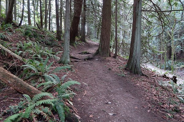 Lake Padden Park Bellingham - 85