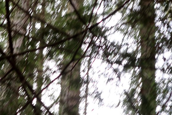 Lake Padden Park Bellingham - 36