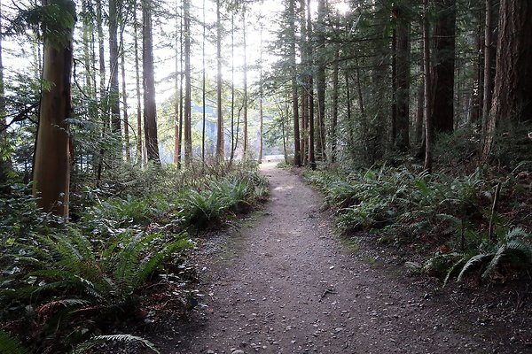 Lake Padden Park Bellingham - 46