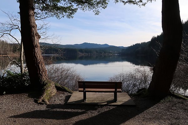 Lake Padden Park Bellingham - 114