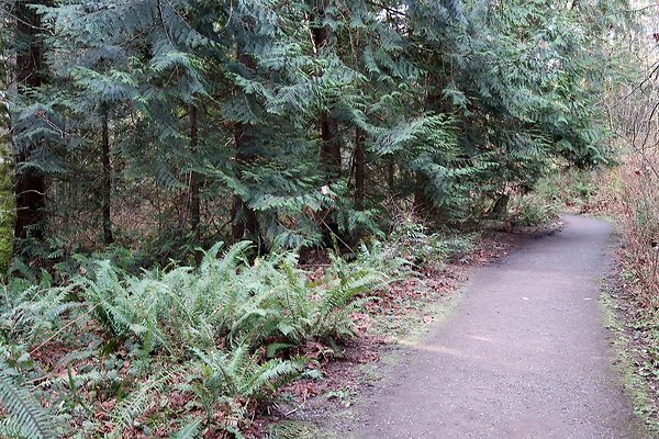 Lake Padden Park Bellingham - 24