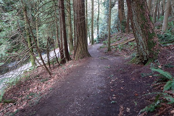 Lake Padden Park Bellingham - 97