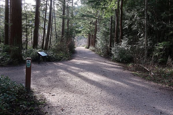 Lake Padden Park Bellingham - 15