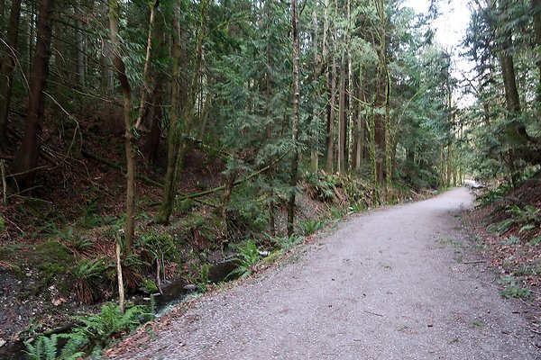 Lake Padden Park Bellingham - 80