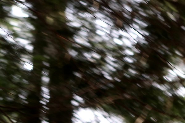 Lake Padden Park Bellingham - 37