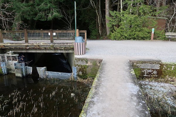 Lake Padden Park Bellingham - 72