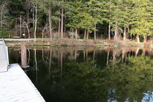 Lake Padden Park Bellingham - 67