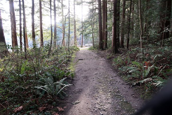 Lake Padden Park Bellingham - 49