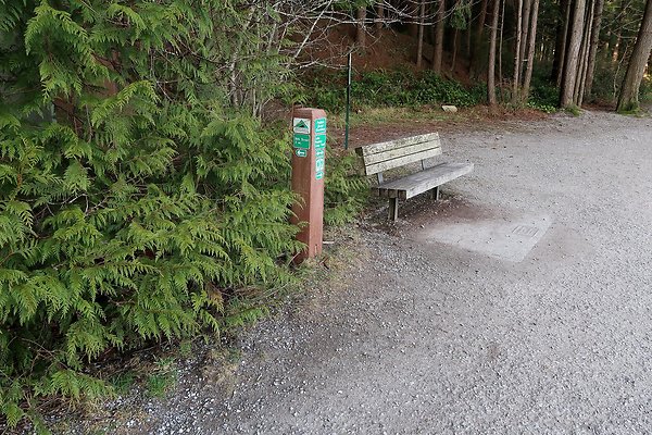 Lake Padden Park Bellingham - 109