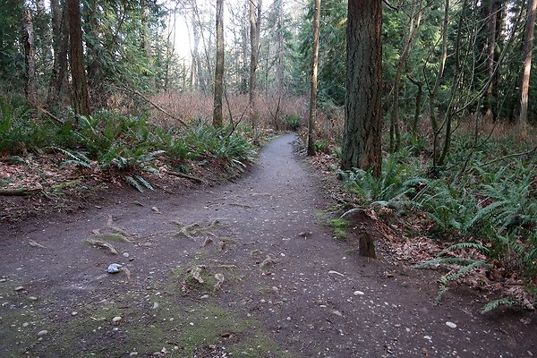 Lake Padden Park Bellingham - 33