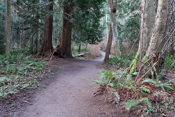 Lake Padden Park Bellingham - 20