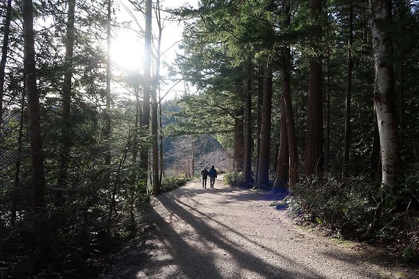 Lake Padden Park Bellingham - 119
