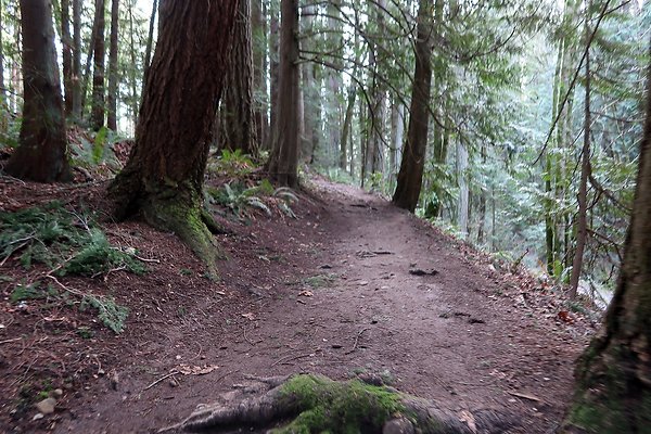 Lake Padden Park Bellingham - 87