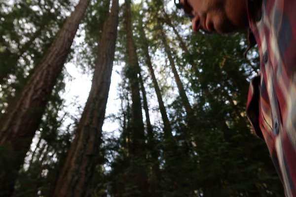 Lake Padden Park Bellingham - 43