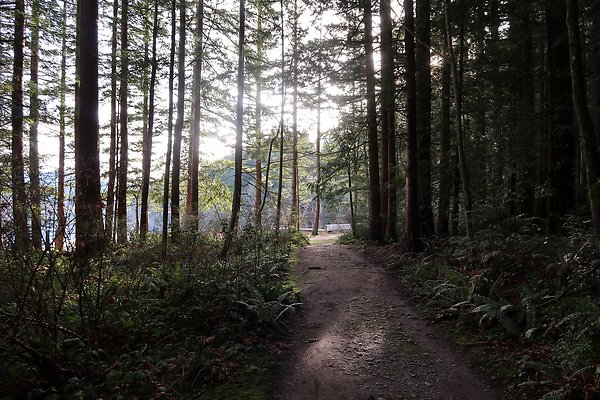 Lake Padden Park Bellingham - 47