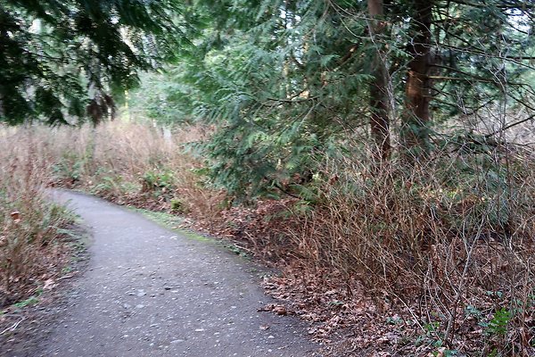 Lake Padden Park Bellingham - 23