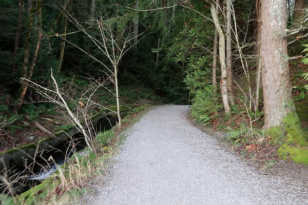 Lake Padden Park Bellingham - 73