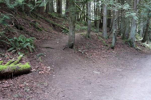 Lake Padden Park Bellingham - 99
