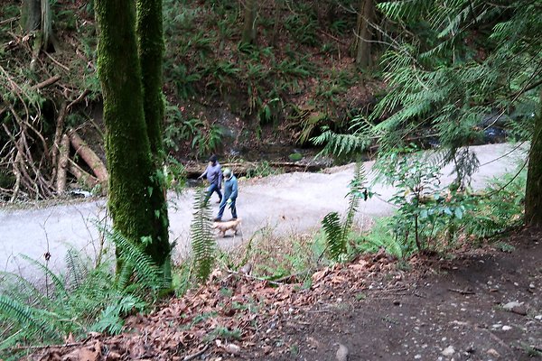Lake Padden Park Bellingham - 93
