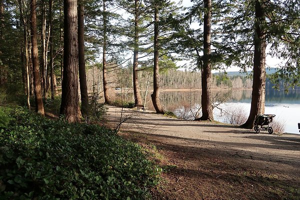 Lake Padden Park Bellingham - 53