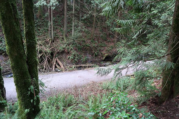 Lake Padden Park Bellingham - 90