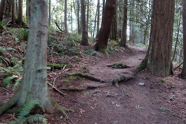 Lake Padden Park Bellingham - 86