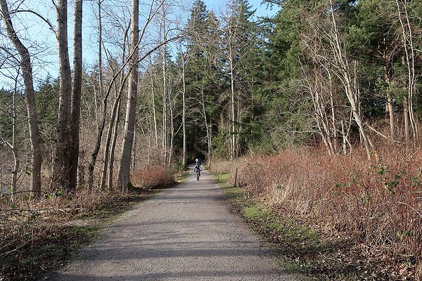 Lake Padden Park Bellingham - 4