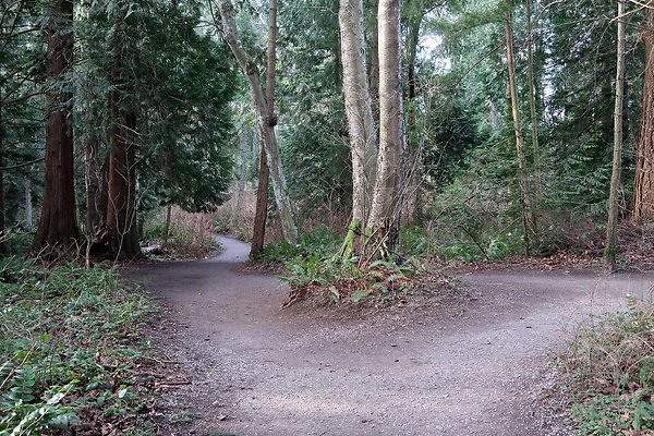 Lake Padden Park Bellingham - 19