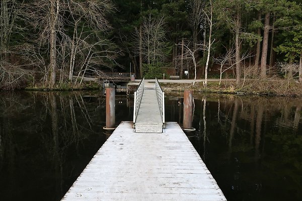 Lake Padden Park Bellingham - 66