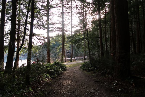 Lake Padden Park Bellingham - 50