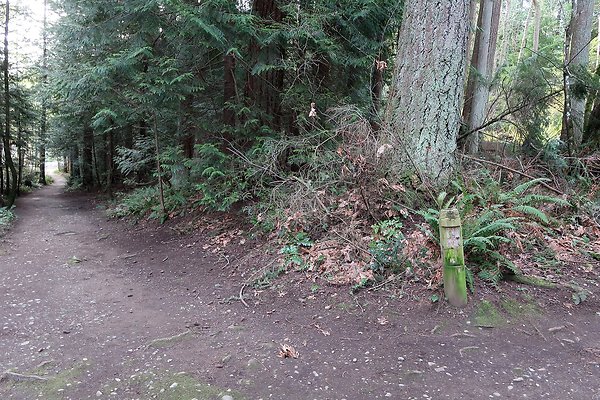 Lake Padden Park Bellingham - 30