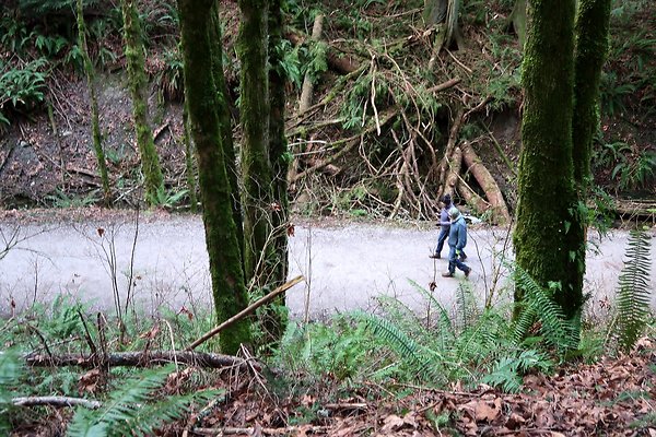 Lake Padden Park Bellingham - 94