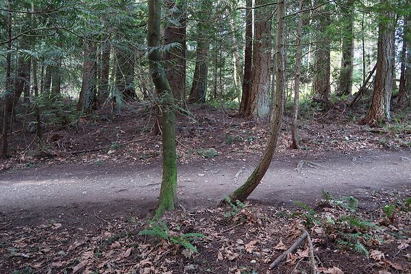 Lake Padden Park Bellingham - 39
