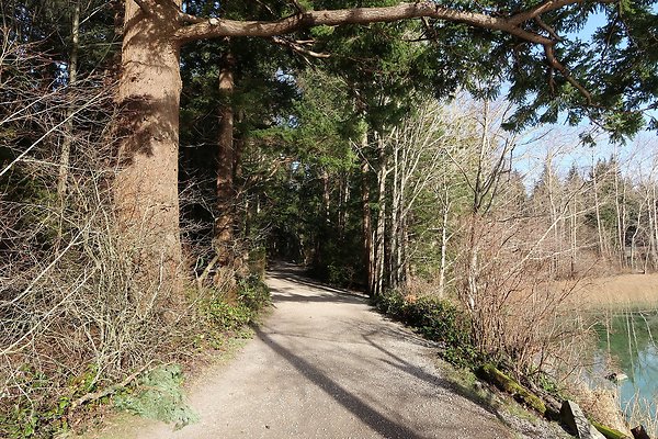 Lake Padden Park Bellingham - 116