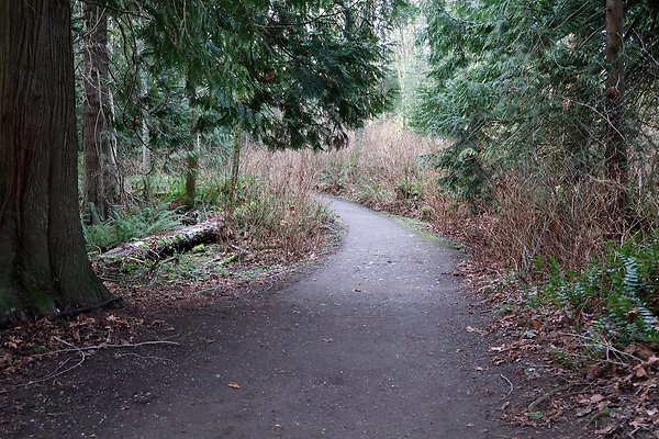 Lake Padden Park Bellingham - 21