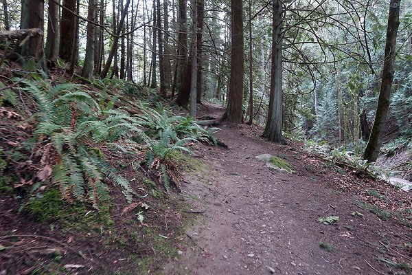 Lake Padden Park Bellingham - 84