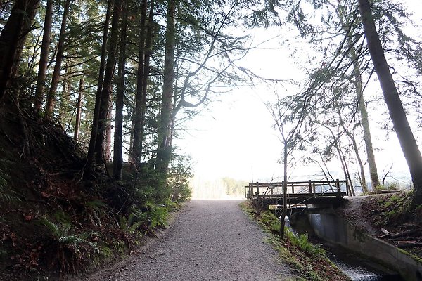 Lake Padden Park Bellingham - 107